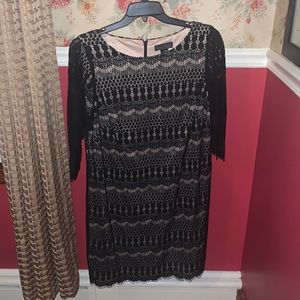 Jessica Howard beautiful black lace dress with cream underlay. 🖤